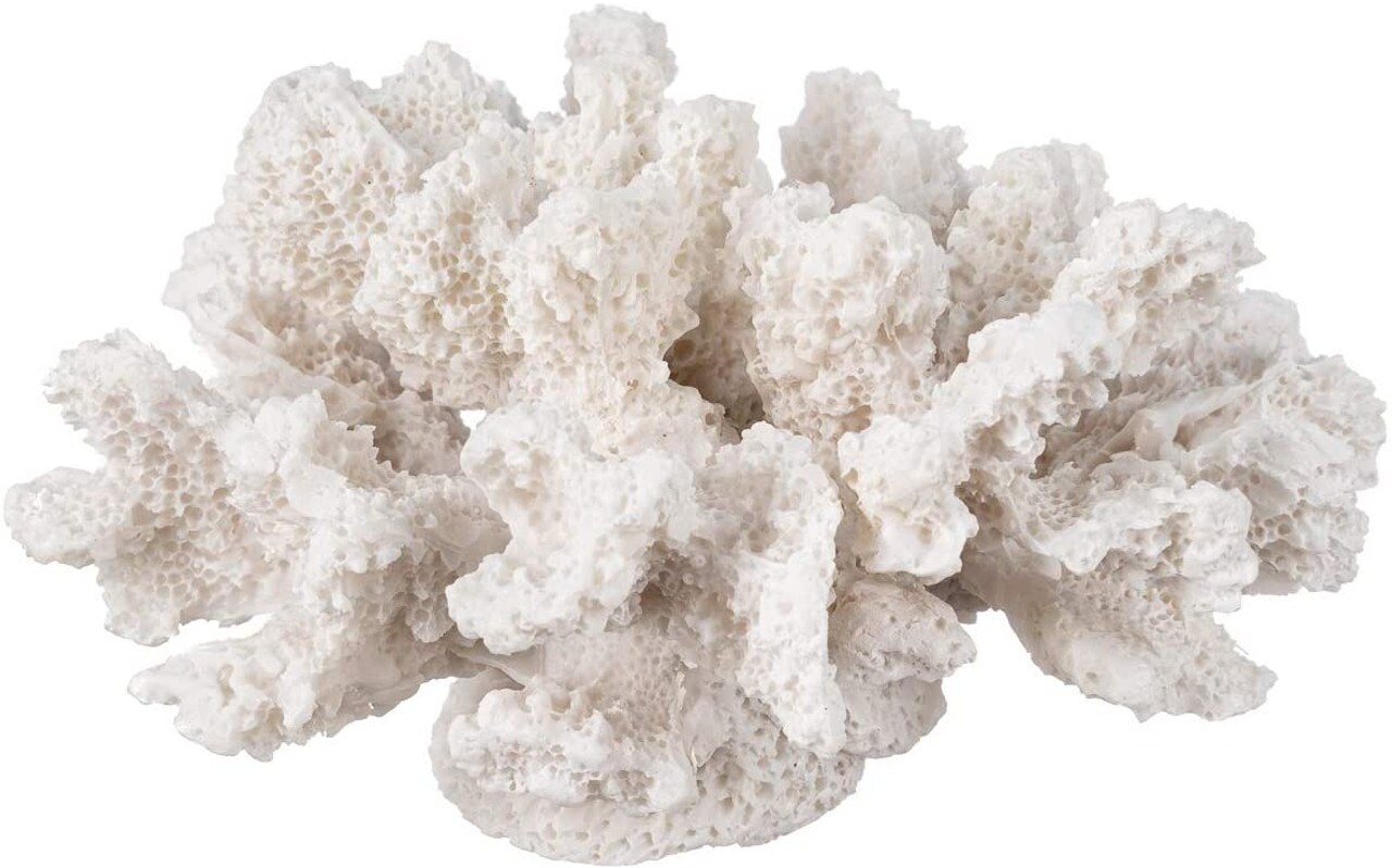 White Coral Décor 4 X 3.5 X 2.5 Resin Faux Coral Sculpture